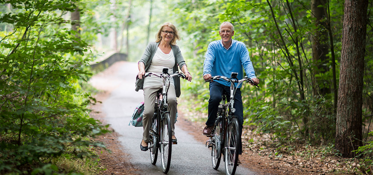 Fietsen vanuit Appelscha naar fiets beleefpad Drents Friese Wold vakantiebestemming friesland