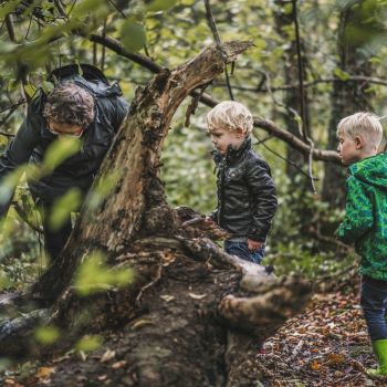 Knutselen in het Drents-Friese Wold