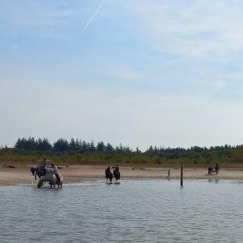 Paardrijden bij Appelscha in het Drents-Friese Wold