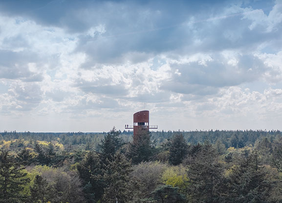Deze Bosbergtoren van maar liefst 33 meter hoog staat op het hoogste punt van het Friese vasteland, een 20 meter hoge stuifduin: de Bosberg Appelscha.