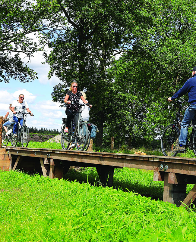 Kom fietsen in de vakantie bij Appelscha. Mooie fietsroutes door de natuur
